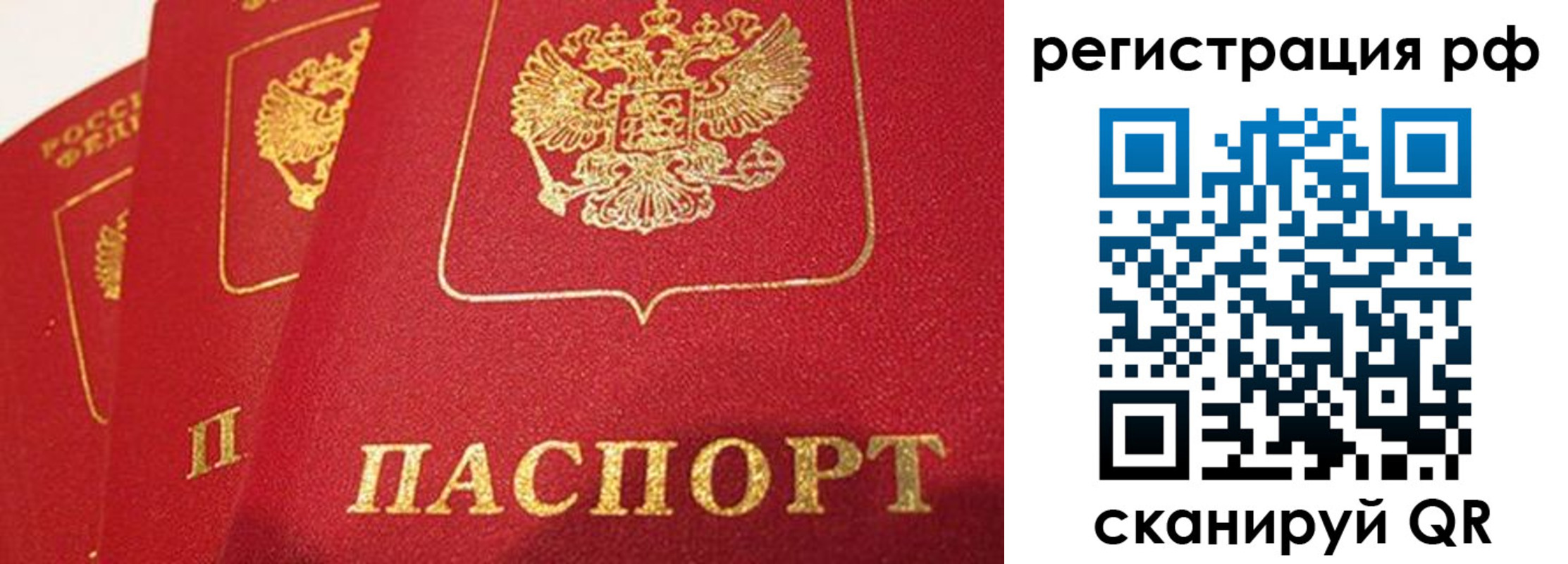 прописка поиск в Рязанской области